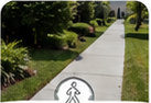 New concrete walkway running through a green residential landscape